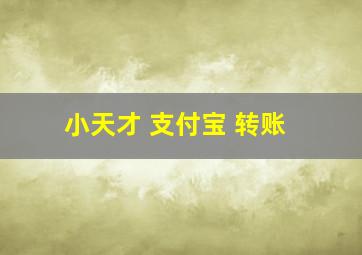 小天才 支付宝 转账